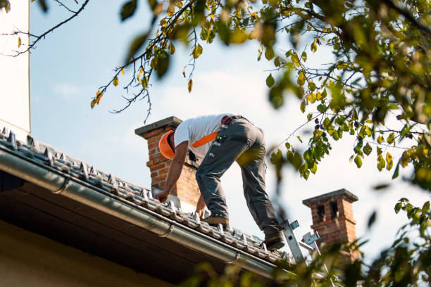 Best Gutter Installation and Repair  in Algonac, MI