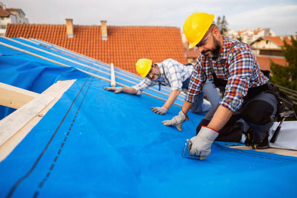 Best Roof Leak Repair  in Algonac, MI