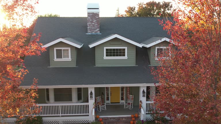 Best Asphalt Shingle Roofing  in Algonac, MI