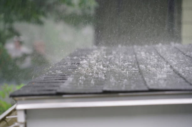 Best Metal Roofing Installation  in Algonac, MI