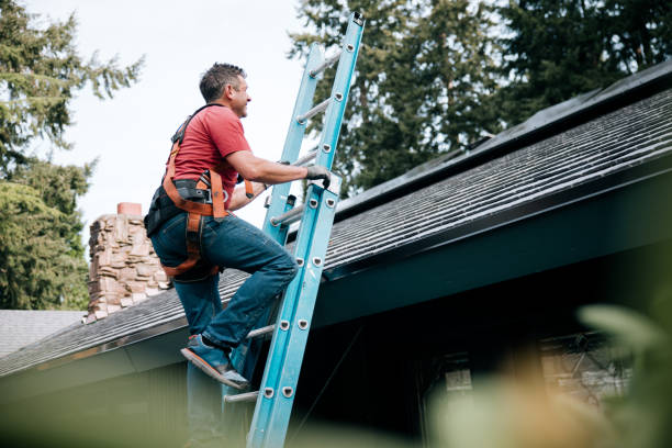 Best Commercial Roofing Services  in Algonac, MI