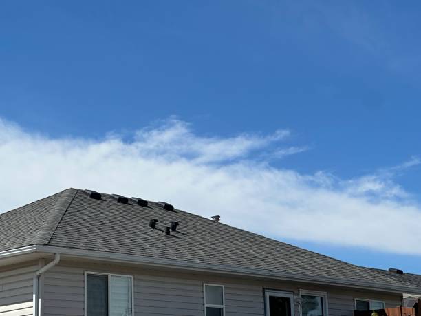 Best Cold Roofs  in Algonac, MI