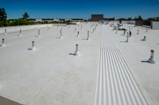 Best Rubber Roofing (EPDM, TPO)  in Algonac, MI